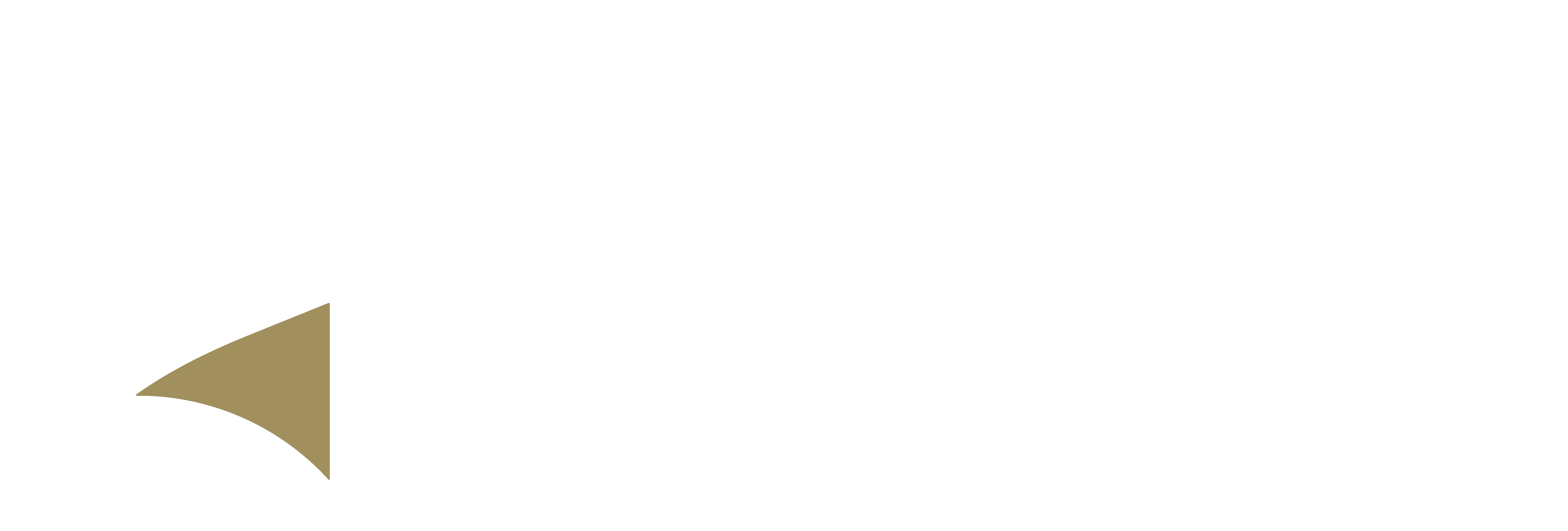 Consulting Vision